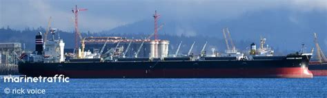 Ship MORNING SALUTE (Bulk Carrier) Registered in Panama.